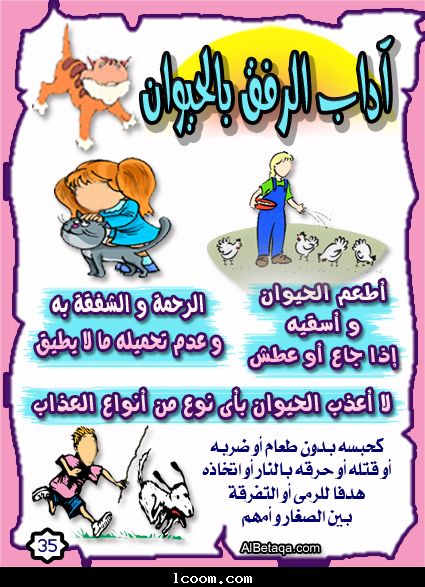 www.lcoom.com__contents_cardsm_60.jpg