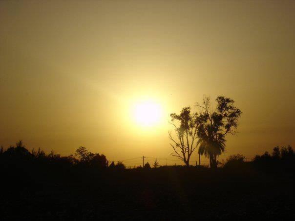 s27.postimg.org_lhbp94g1v_sun.jpg
