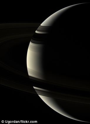 cdn.sabq.org_files_general_77444_64473.jpg