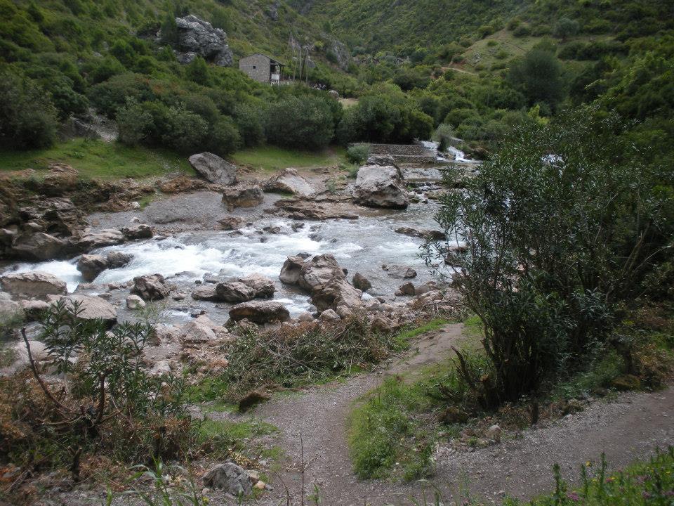 s15.postimg.org_6lmhxsmmj_laarach5.jpg
